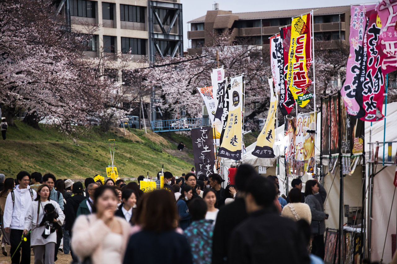 Besucher beim Sakura-Karneval in Okayama, umgeben von blühenden Kirschbäumen.